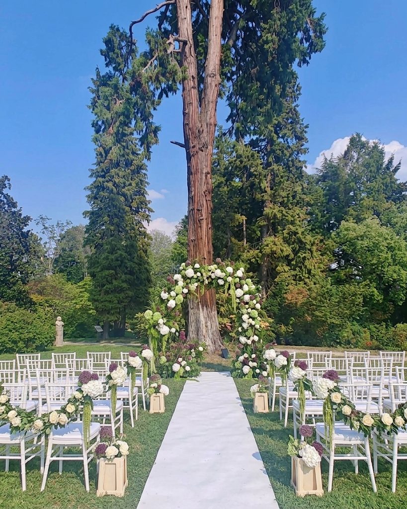 A floral arch of white and burgundy hydrangeas and roses under the monumental sequoia, with flower-garlanded white chairs either side of the white aisle runner