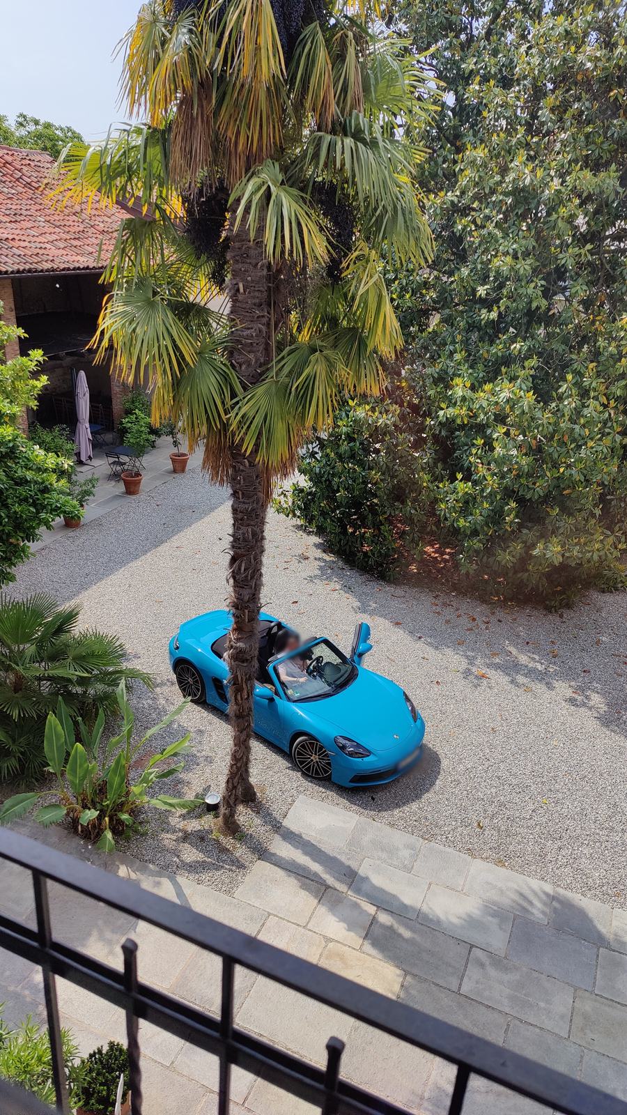 Guests arriving in the gravel courtyard under the palm tree